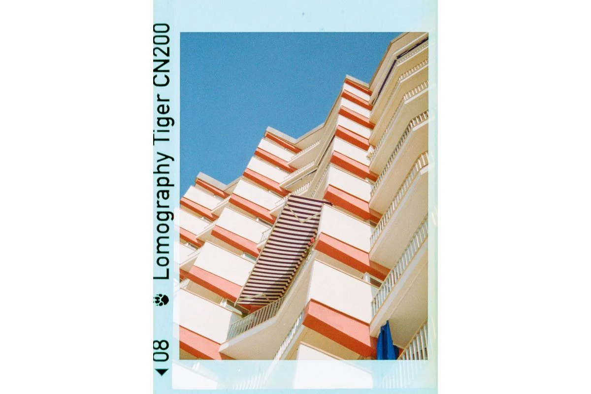 Lomography Color Tiger 110 - Image 6