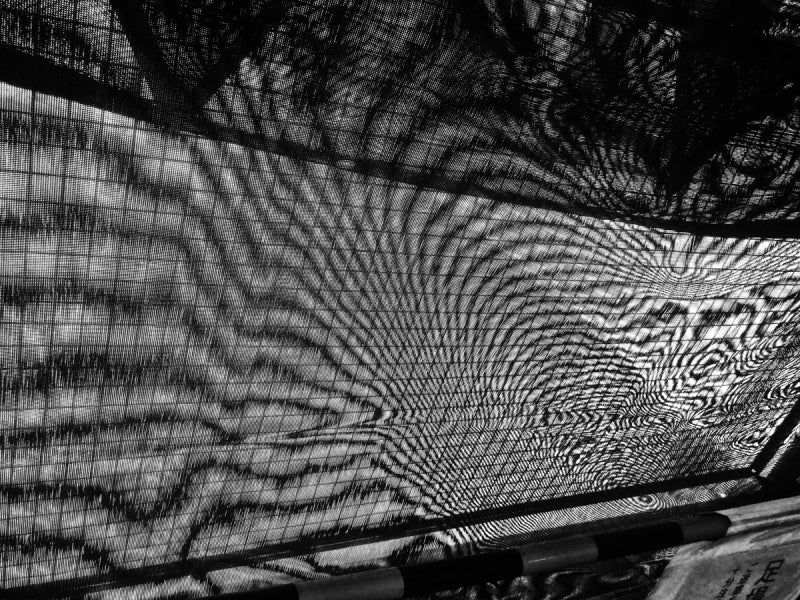 Daido Moriyama: Record 61 - Image 7