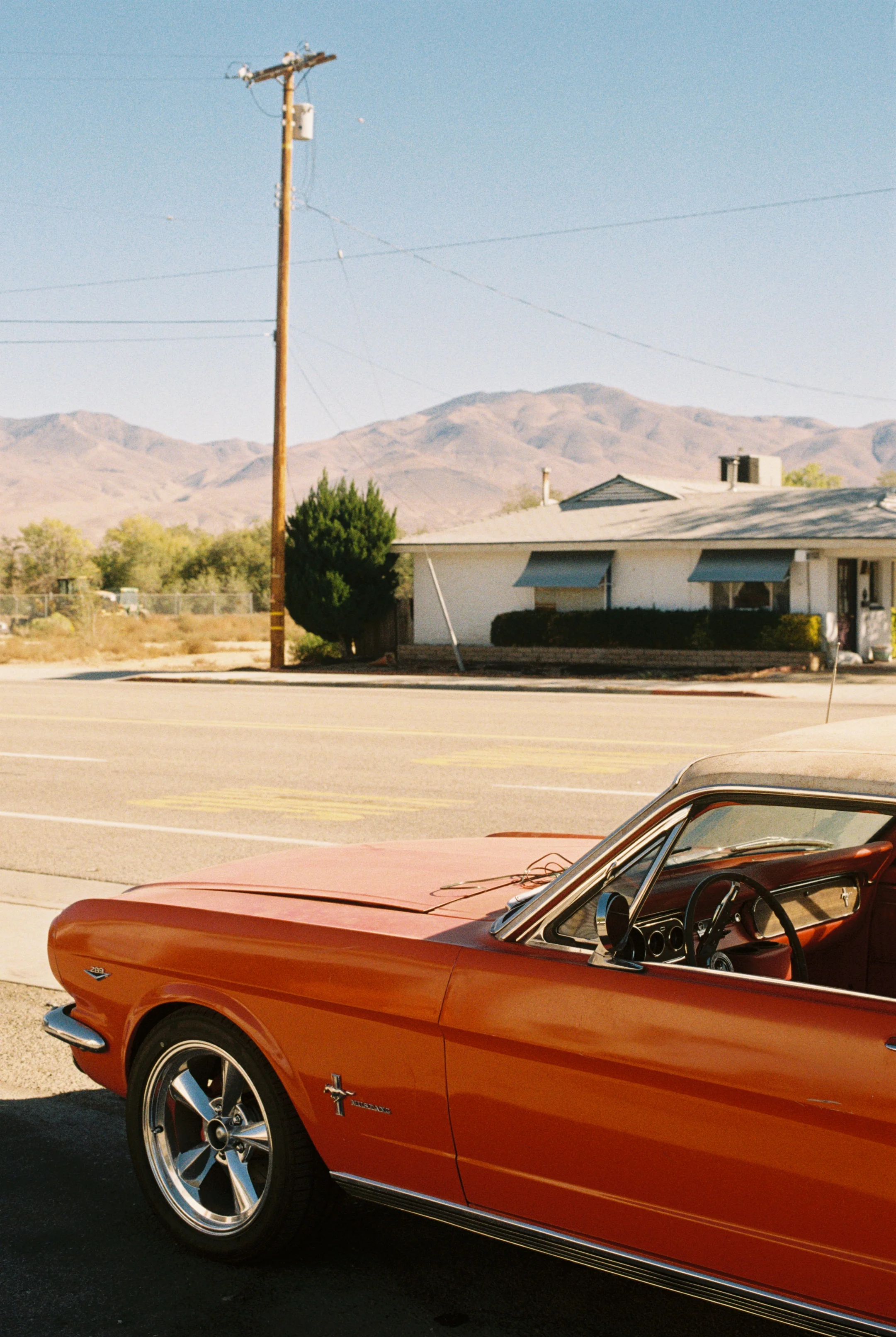 Kodak Gold 200 - 35mm - Image 3