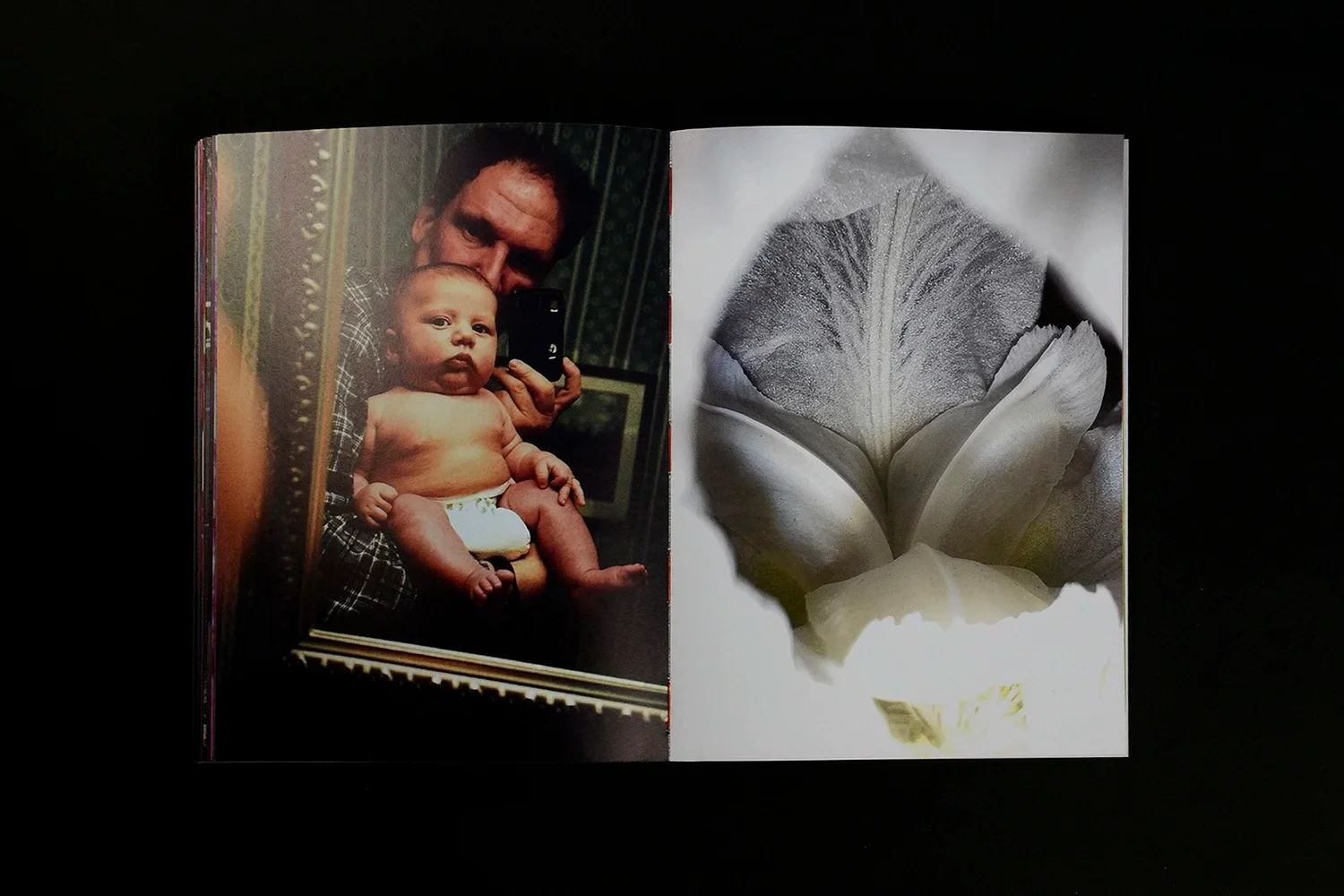 Jeff Mermelstein - What if Jeff were a butterfly? - Image 12