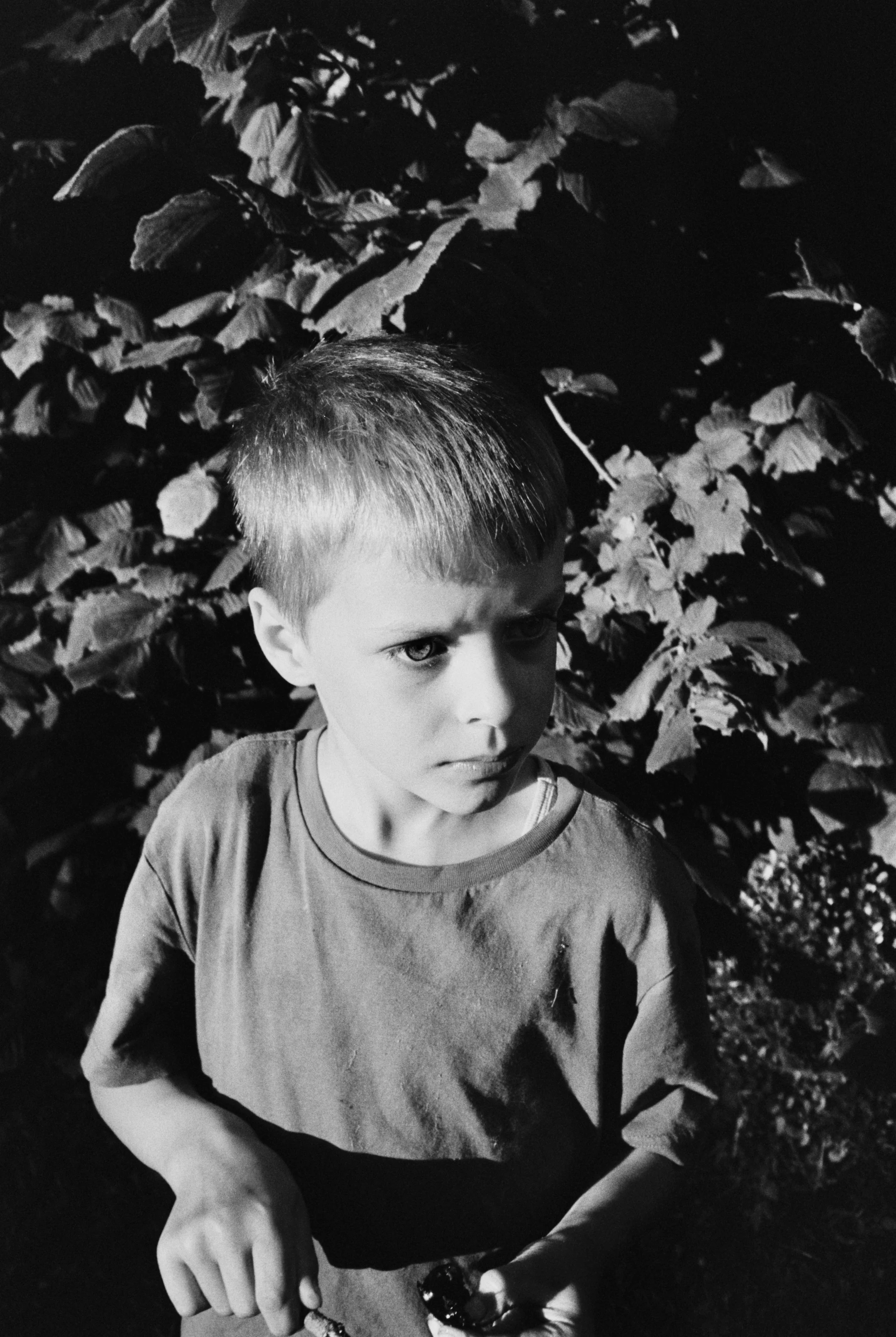 KODAK Tri-X 400 - 35mm - Image 4
