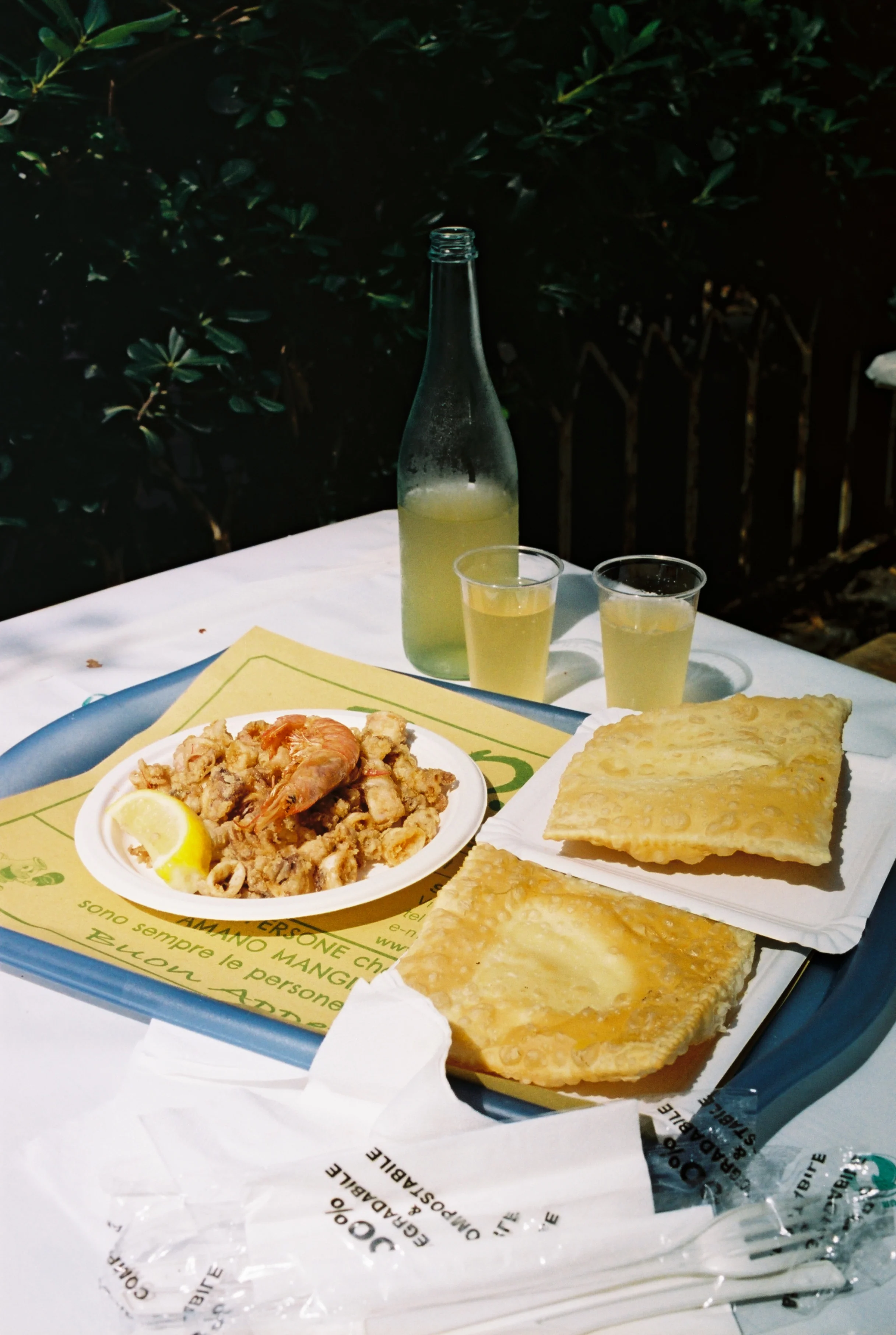 KODAK Pro Image 100 - Image 4