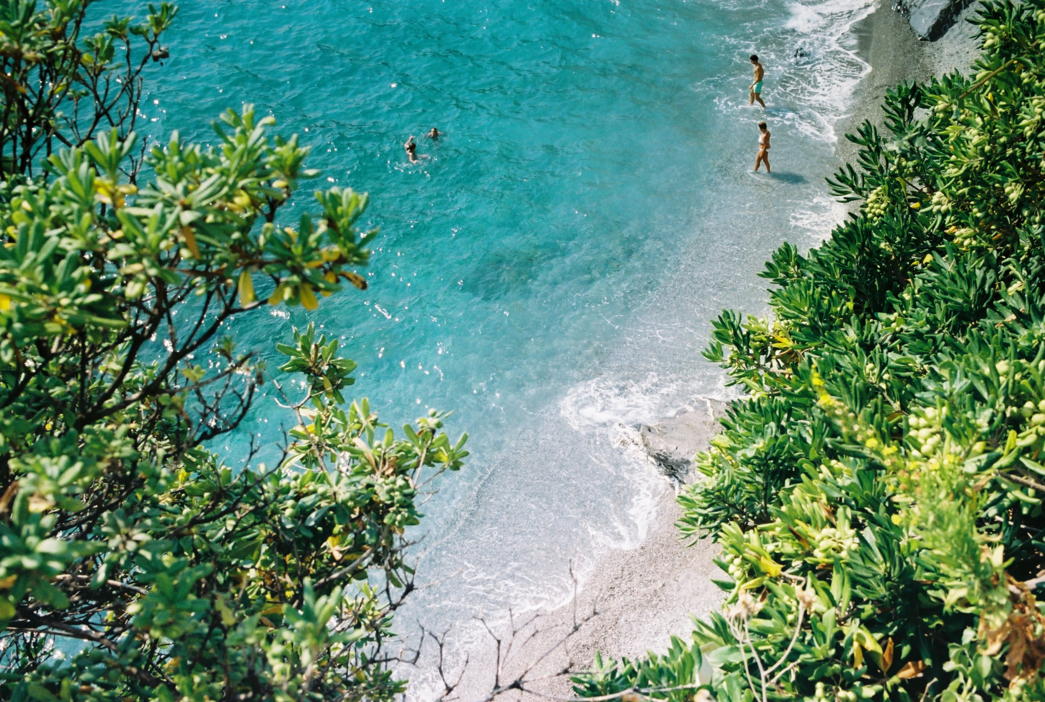 KODAK Pro Image 100 - Image 5