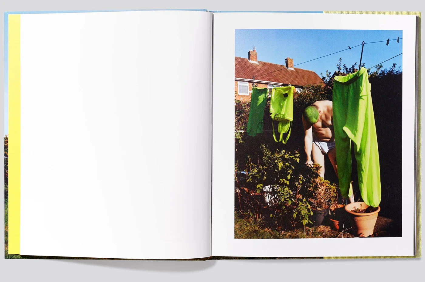 Kuba Ryniewicz – Daily Weeding - Image 3