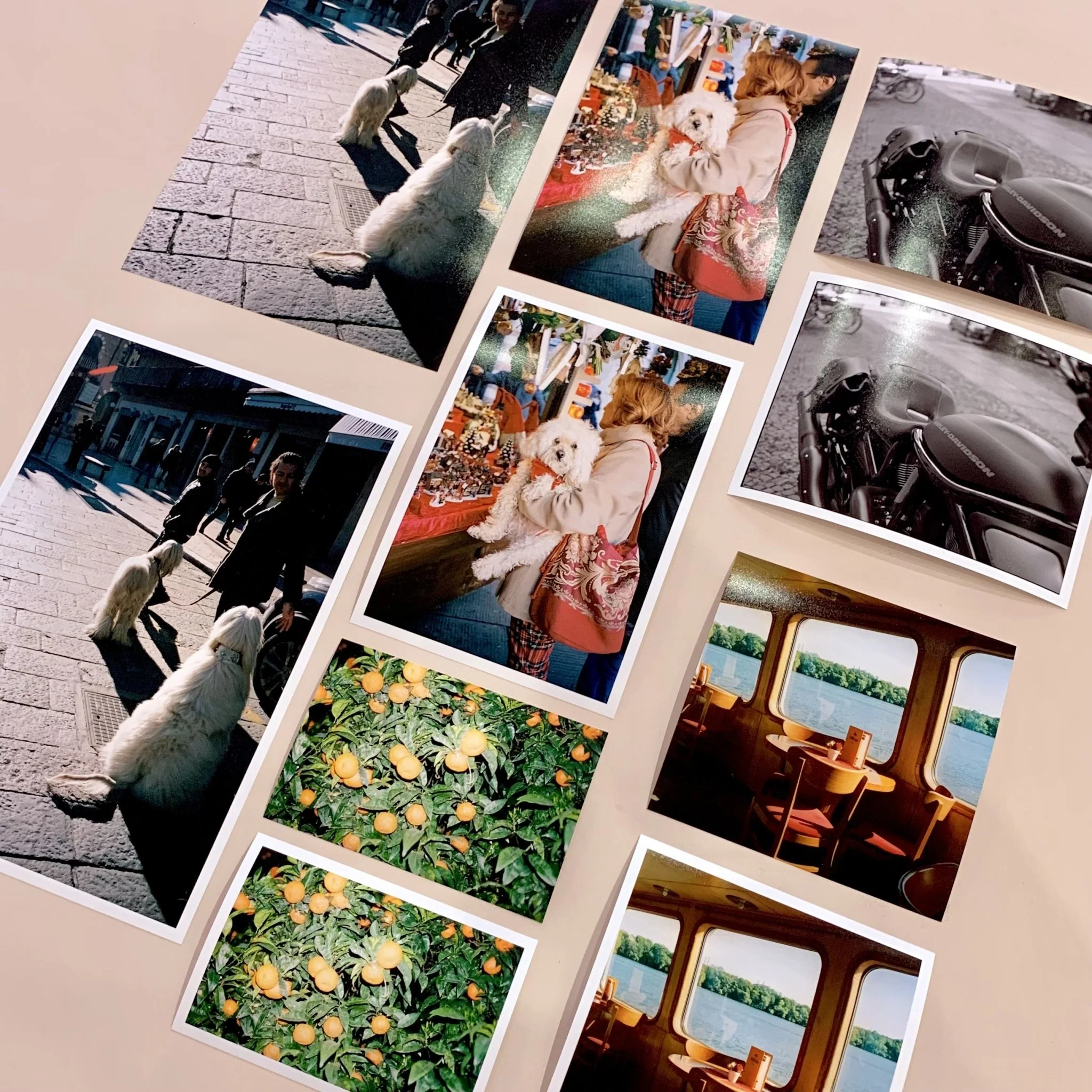 Lab Prints - Image 4