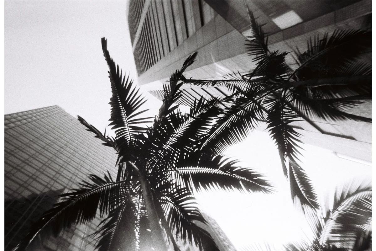LOMO Simple Use Reloadable Film Camera Black & White - Image 8