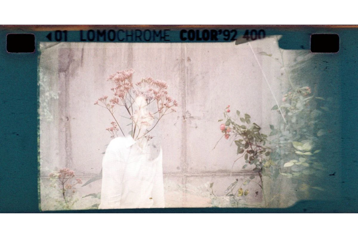 LOMOCHROME Color'92 'Sun Kissed' 110 - Image 7