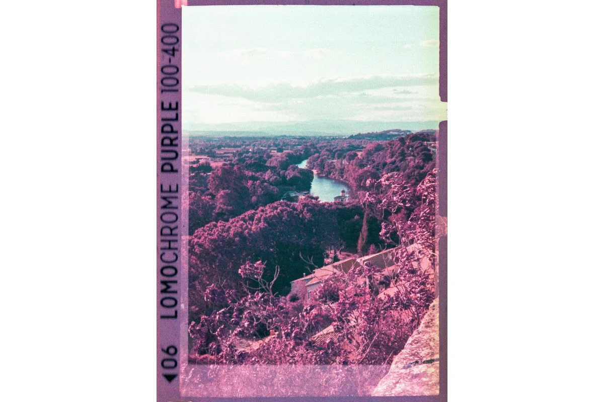 LOMOCHROME Purple 110 - Image 3