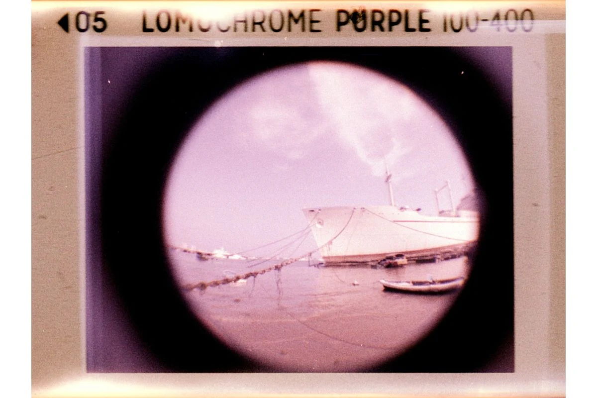 LOMOCHROME Purple 110 - Image 5