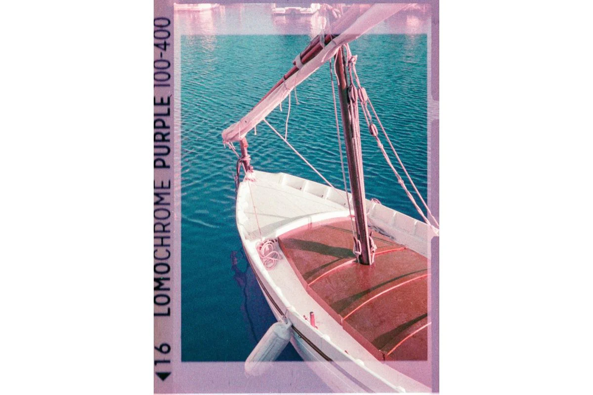 LOMOCHROME Purple 110 - Image 6