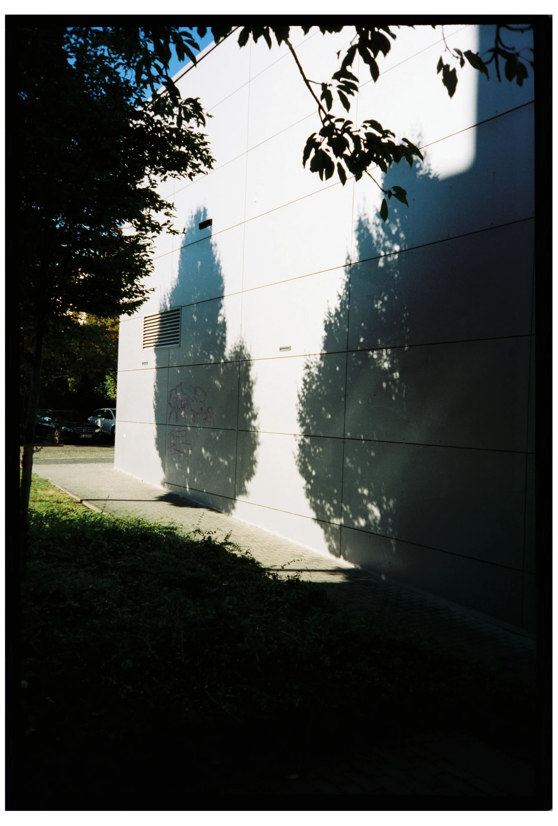 SAFELIGHT 250D - 35mm - Image 11