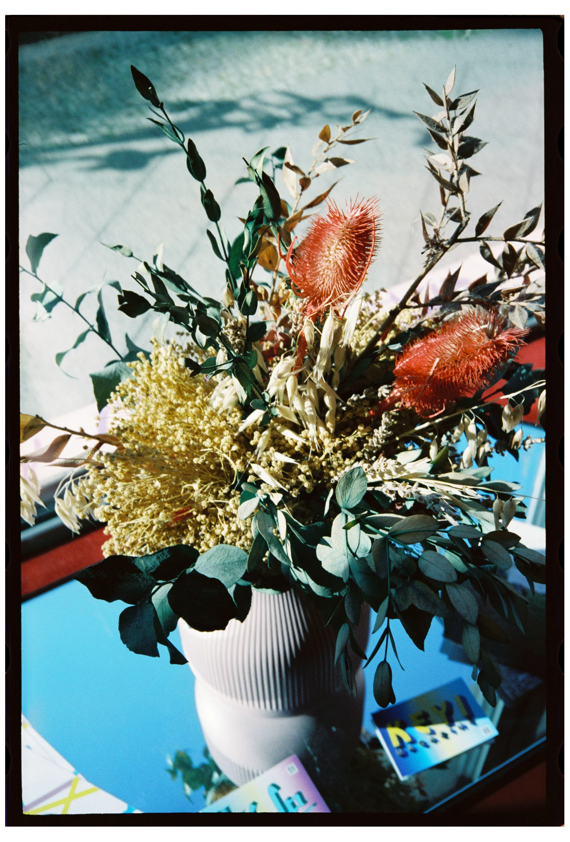 SAFELIGHT 500T - 35mm - Image 10
