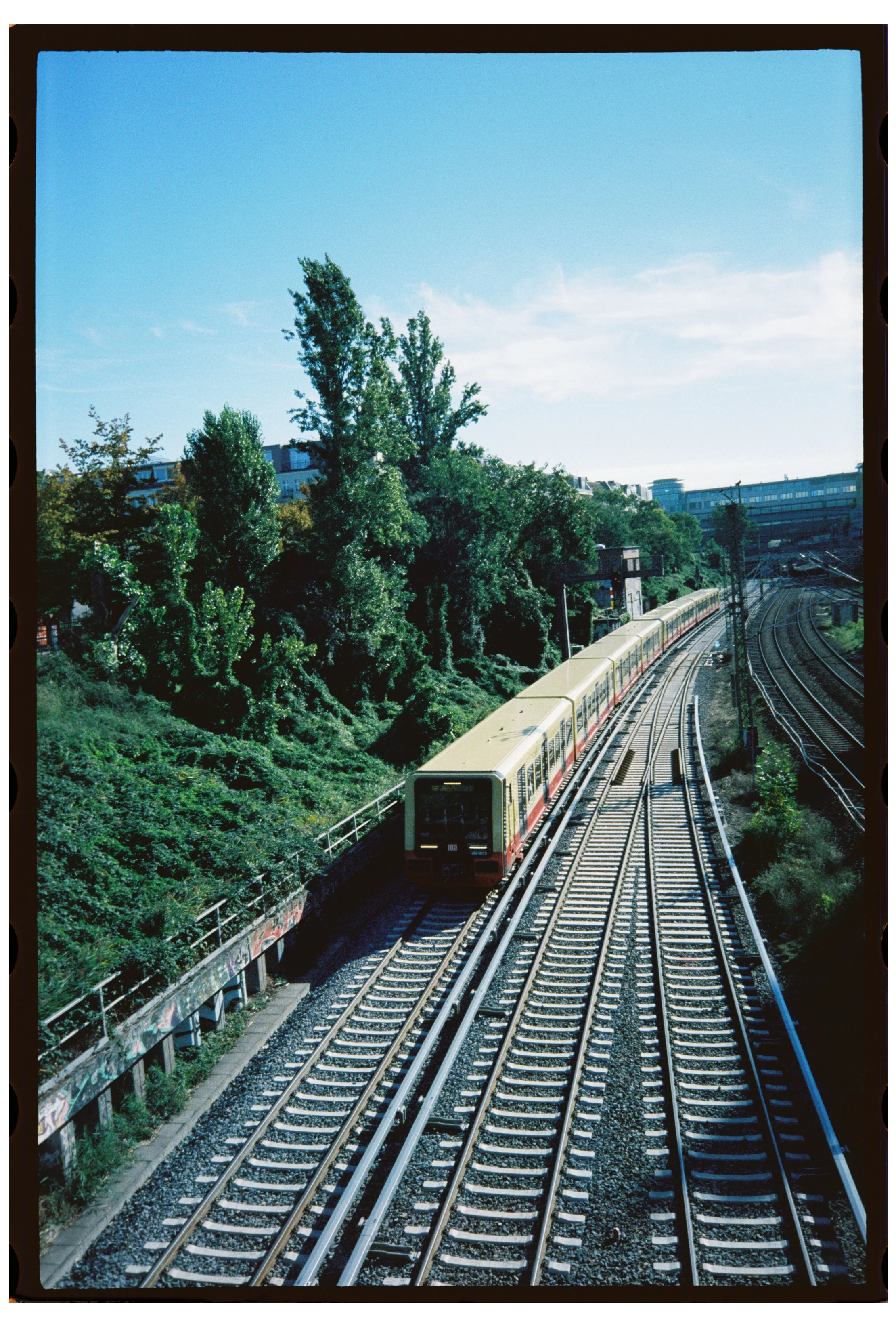 SAFELIGHT 500T - 35mm - Image 7