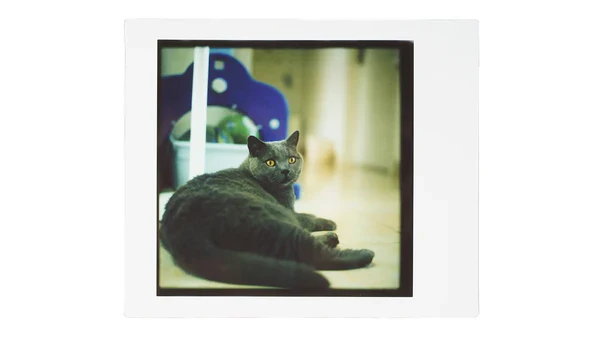 NONS Instant Back - Image 7