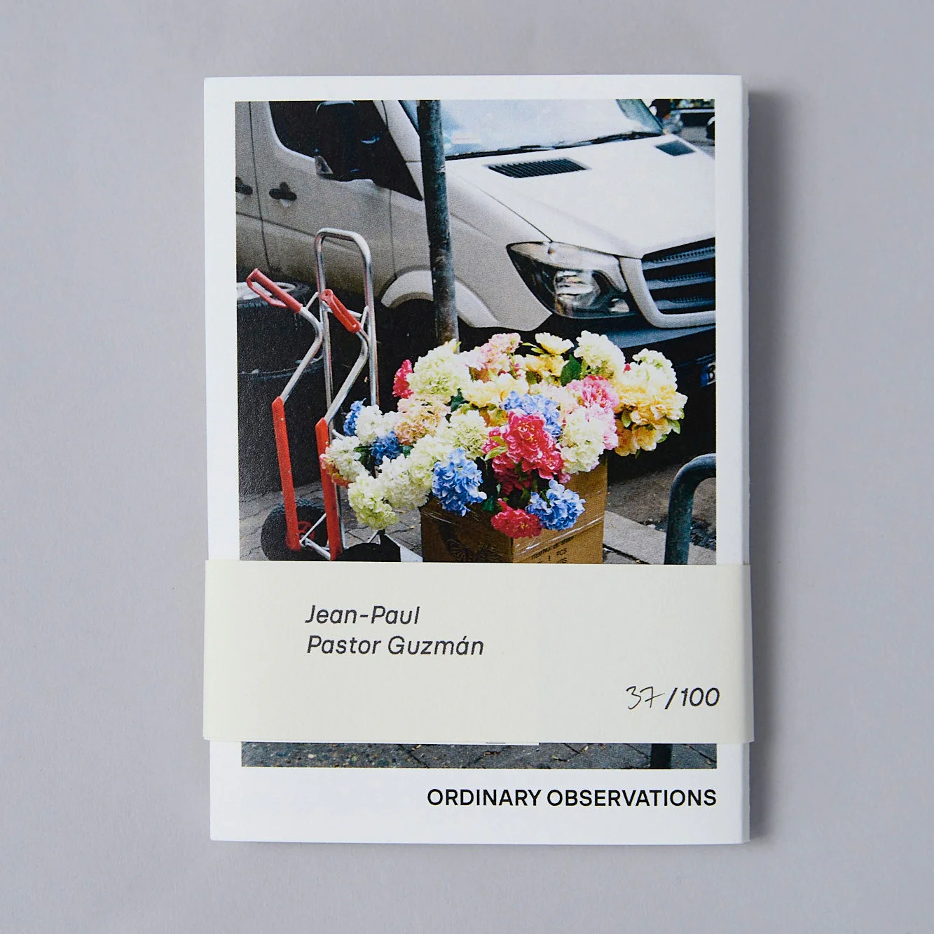 Ordinary Observations by Jean-Paul Pastor Guzman