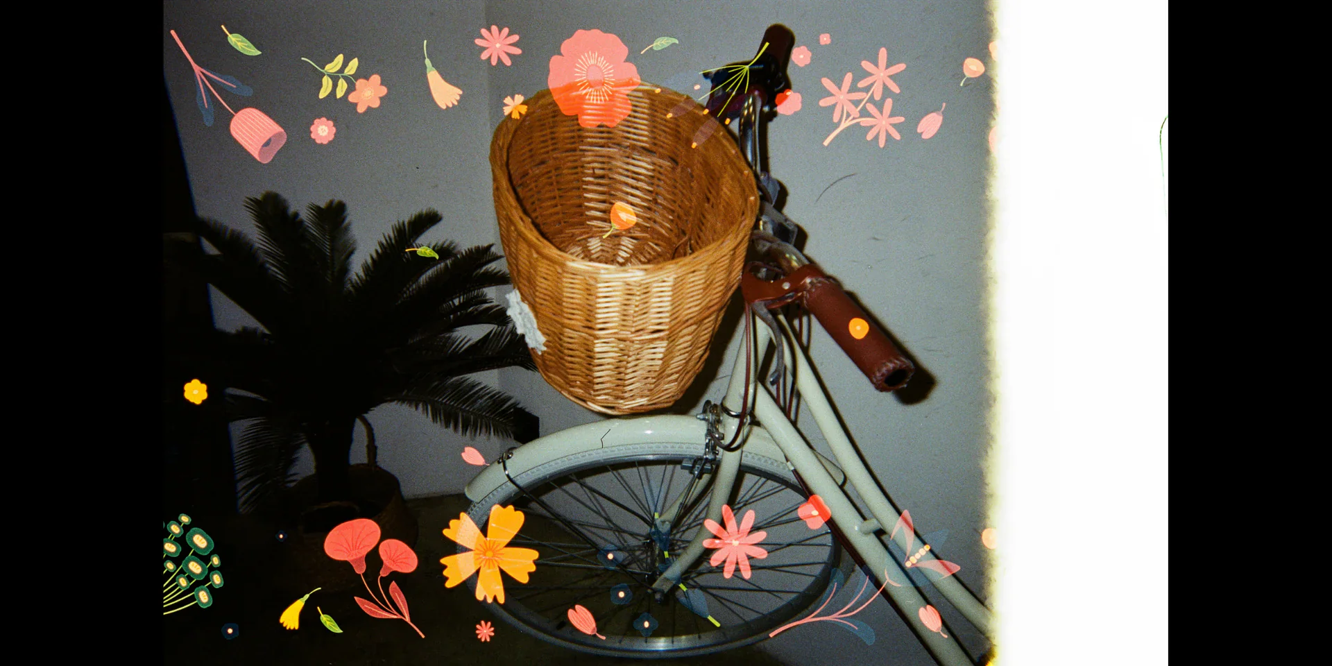Retocolor Blossom 400 Disposable - Image 9