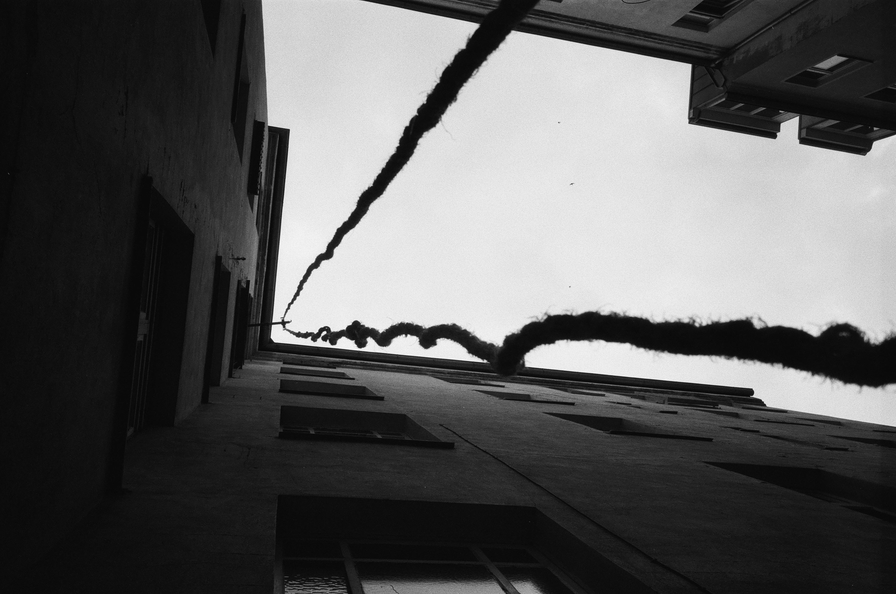 SAFELIGHT 'XX' Black & White - 35mm - Image 4