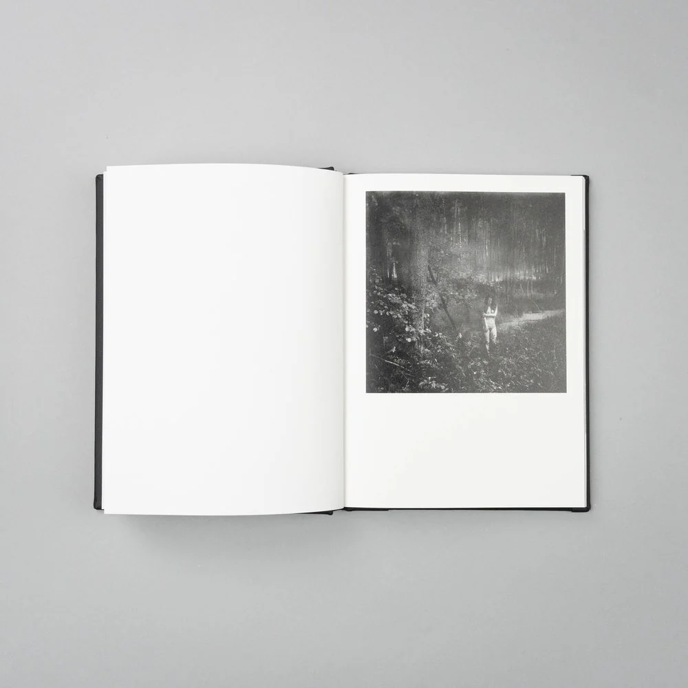 Vanishing by Anna Arendt - Image 10