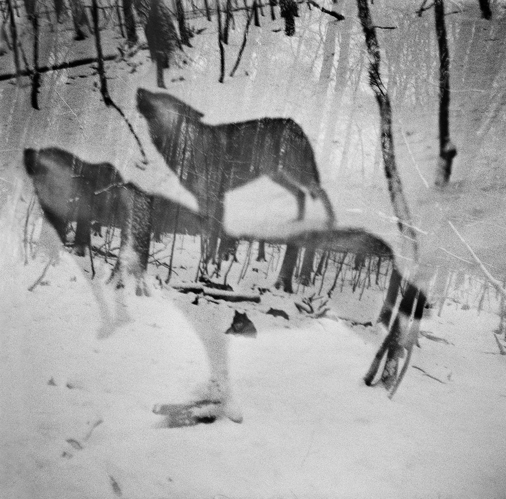 Vanishing by Anna Arendt - Image 13