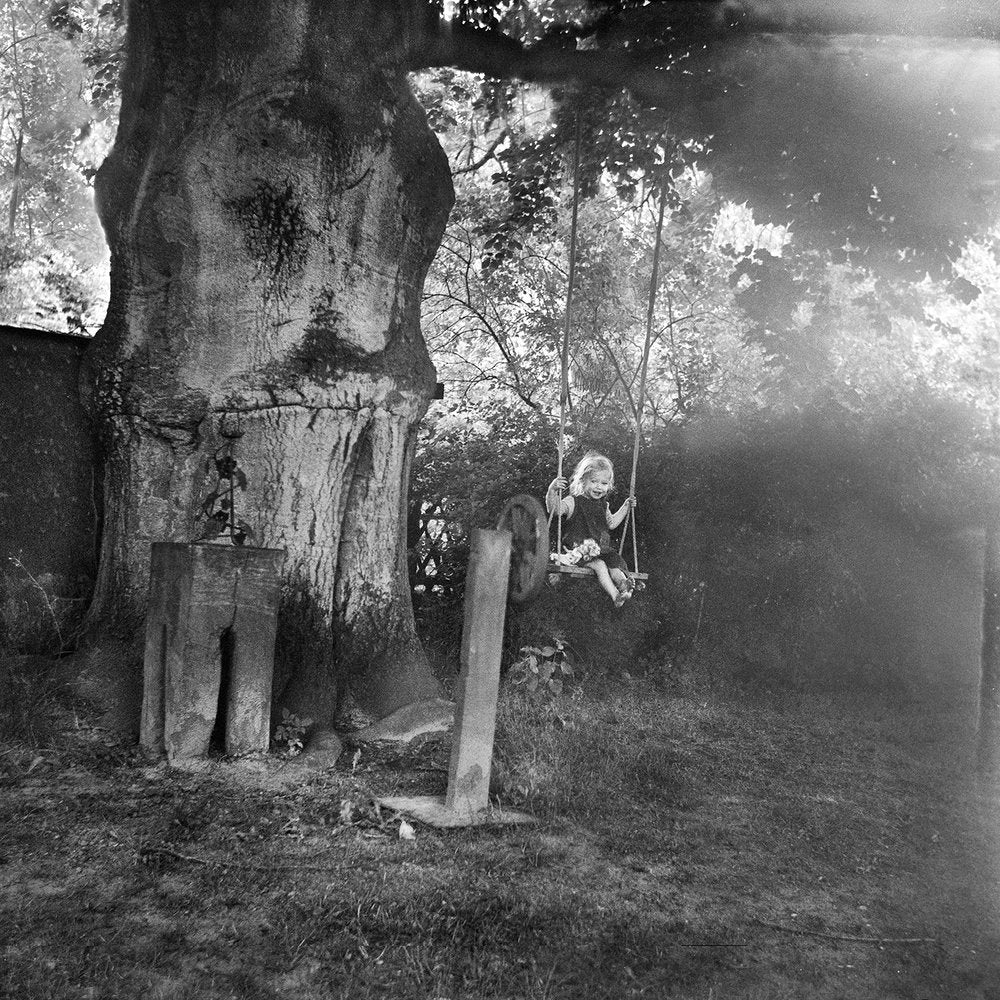 Vanishing by Anna Arendt - Image 3