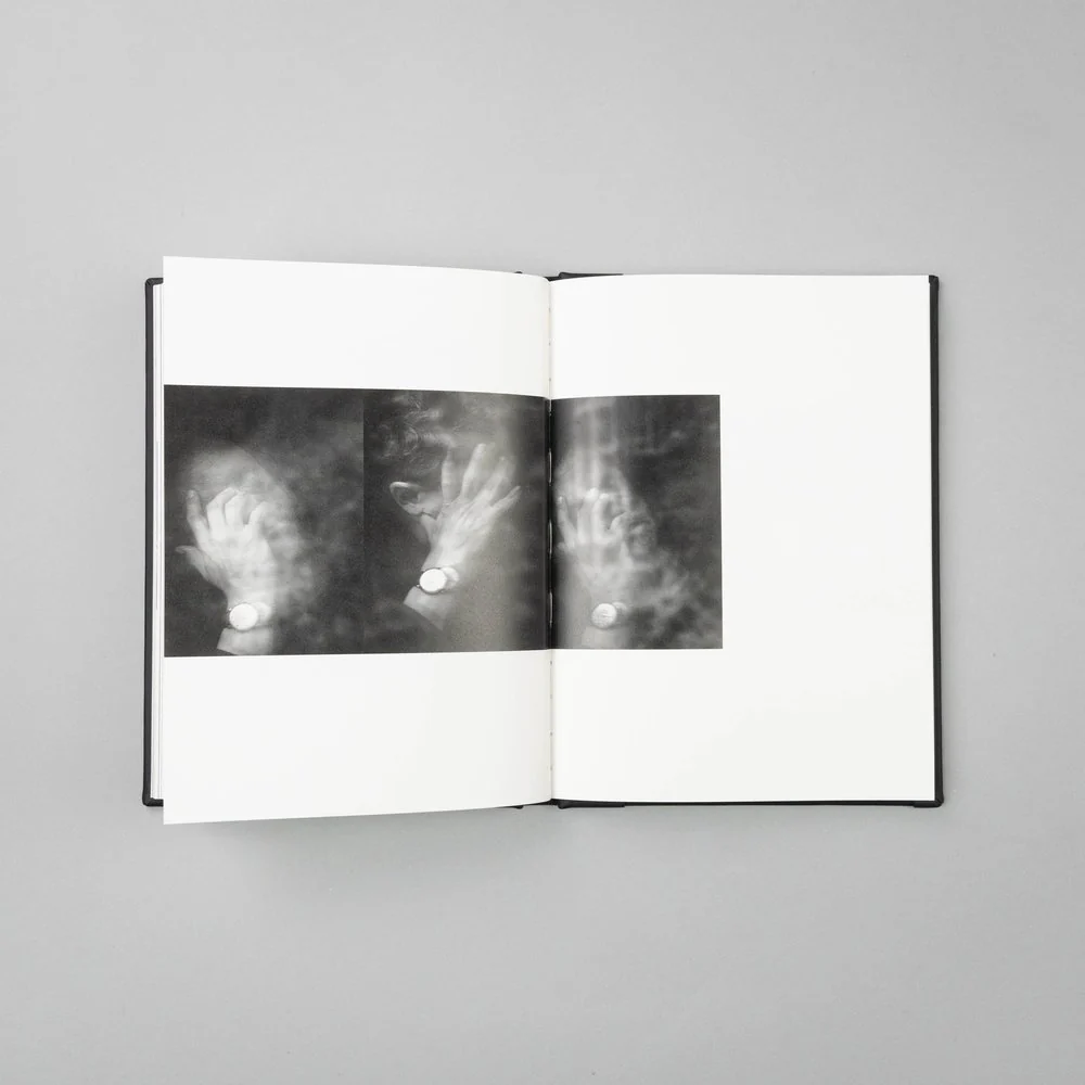 Vanishing by Anna Arendt - Image 4