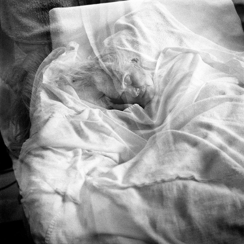 Vanishing by Anna Arendt - Image 5