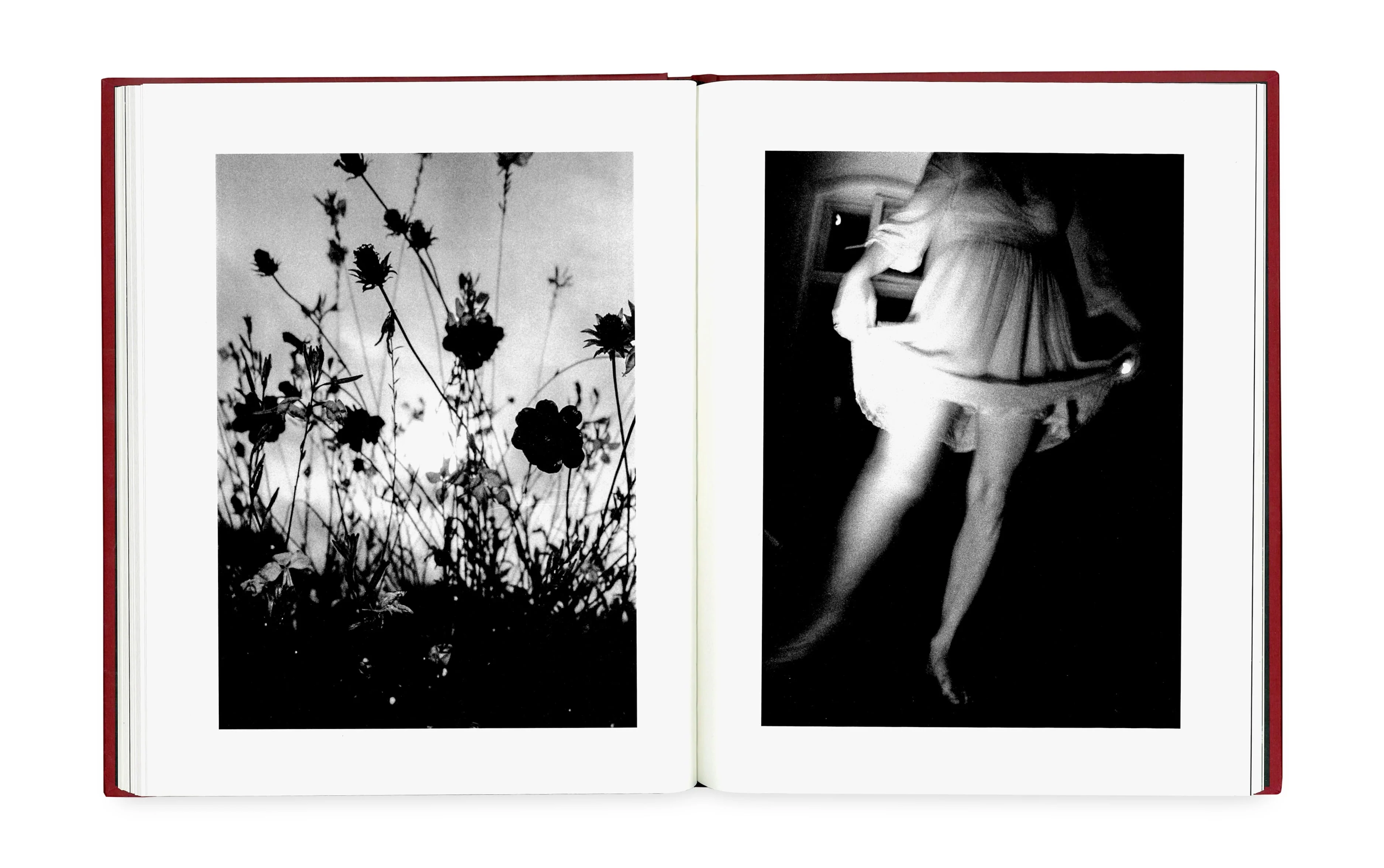 Weightless At Last by Jon Cuadros - Image 2